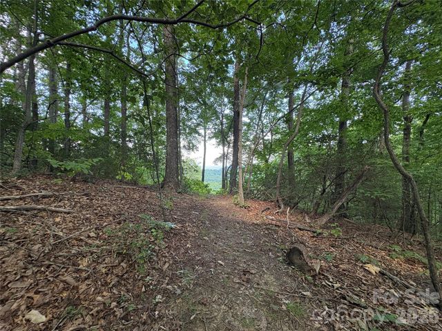 10 Camp Elliott Road, Black Mountain, NC 28711