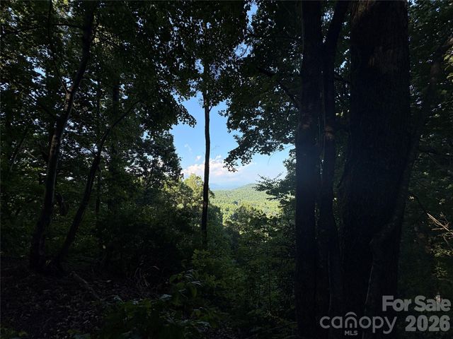 10 Camp Elliott Road, Black Mountain, NC 28711