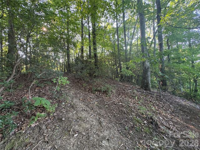 10 Camp Elliott Road, Black Mountain, NC 28711
