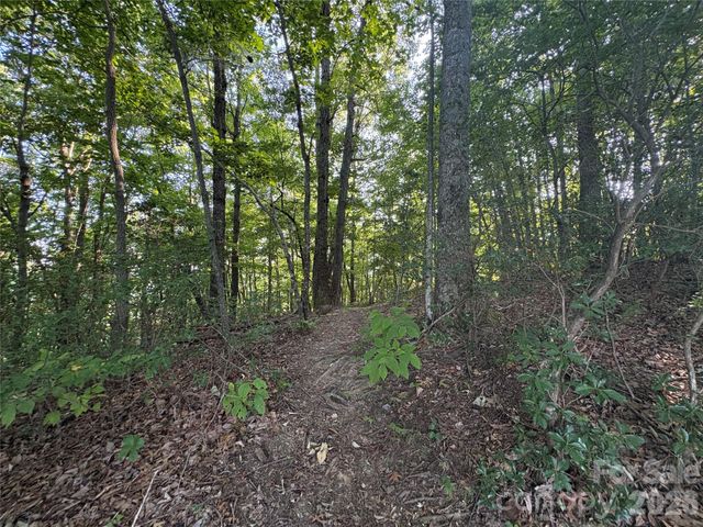10 Camp Elliott Road, Black Mountain, NC 28711