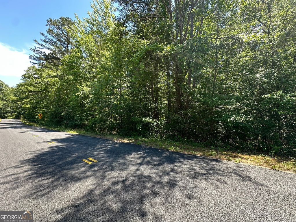 38 S Century Drive, Martin, GA 30557 — exterior