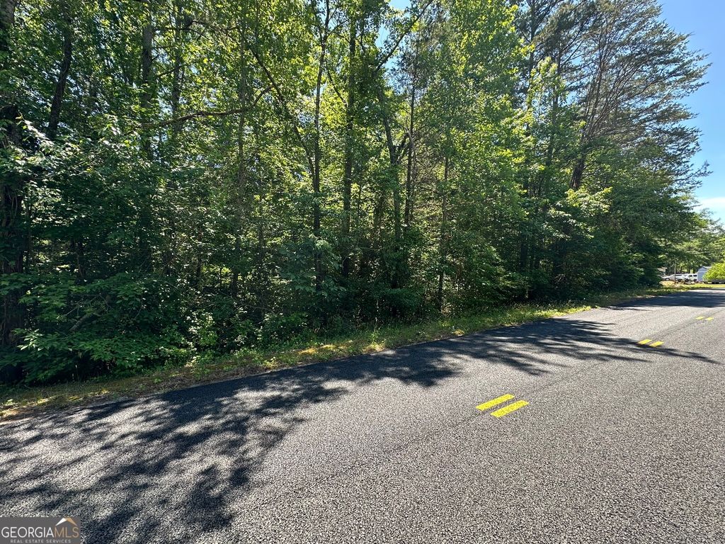 38 S Century Drive, Martin, GA 30557 — photo 2