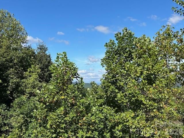 0 Tahawus Drive, Bostic, NC 29018