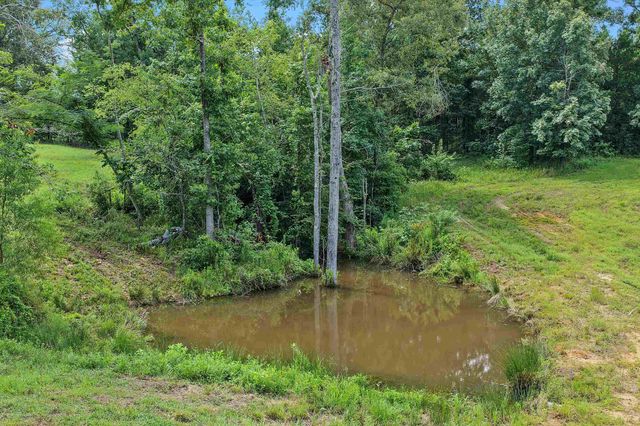5290 S County Road 314, Henderson, TX 75654