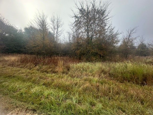 527 Tahiti Lane, Tool, TX 75143