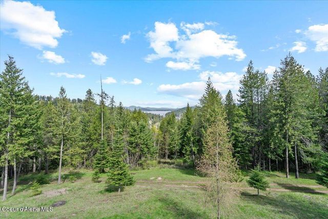 4177 E Eagles Mere Rd, Harrison, ID 83833