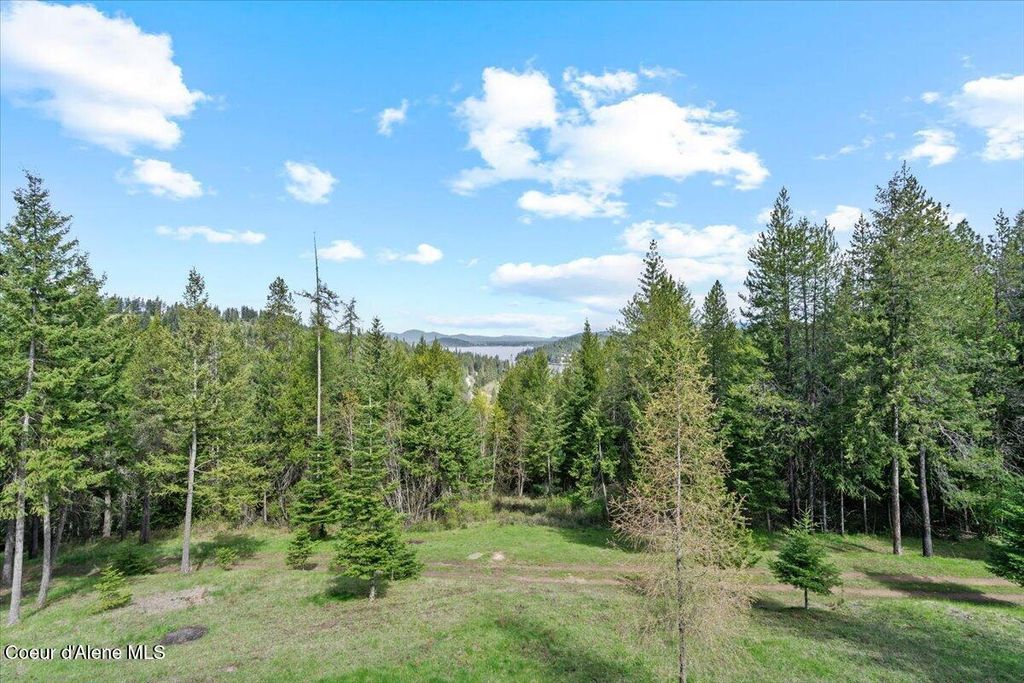 4177 E Eagles Mere Rd, Harrison, ID 83833 photo 62