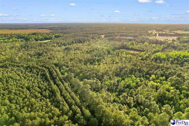 TBD Mount Olive Church Rd, Loris, SC 29569