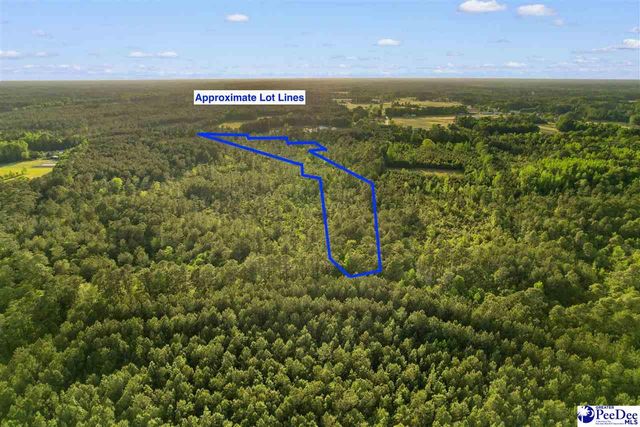 TBD Mount Olive Church Rd, Loris, SC 29569