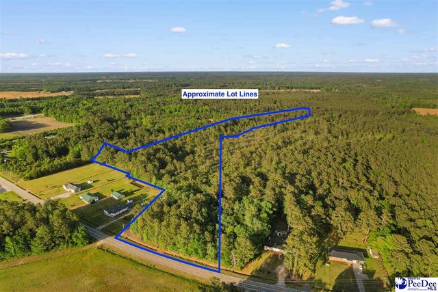 TBD Mount Olive Church Rd, Loris, SC 29569