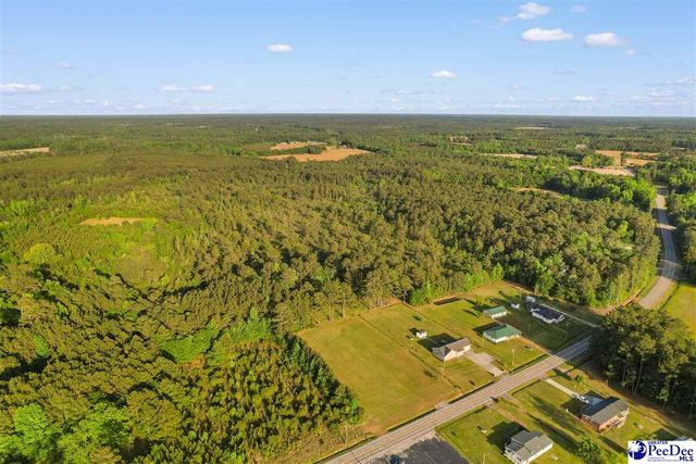TBD Mount Olive Church Rd, Loris, SC 29569