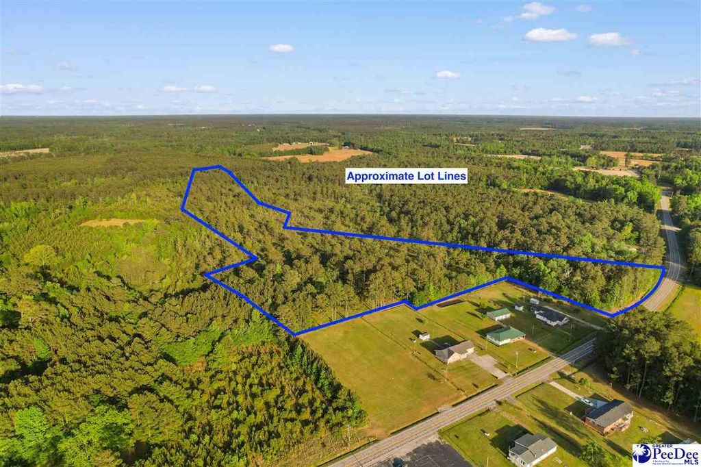TBD Mount Olive Church Rd, Loris, SC 29569