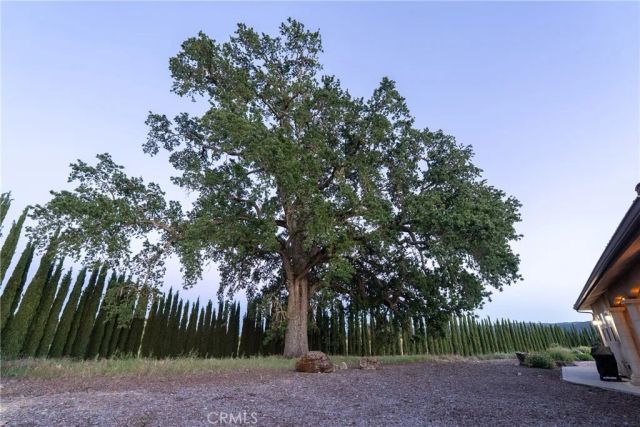 5250 Vineyard, Paso Robles, CA 93446