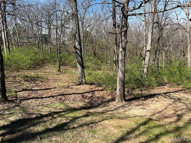 1631 Dunaway Road, Festus, MO 63028