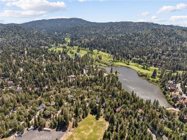 686 Grass Valley, Lake Arrowhead, CA 92352