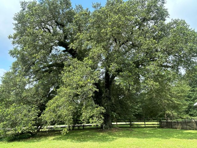 5606 Rocky Creek Rd, Ashford, AL 36312