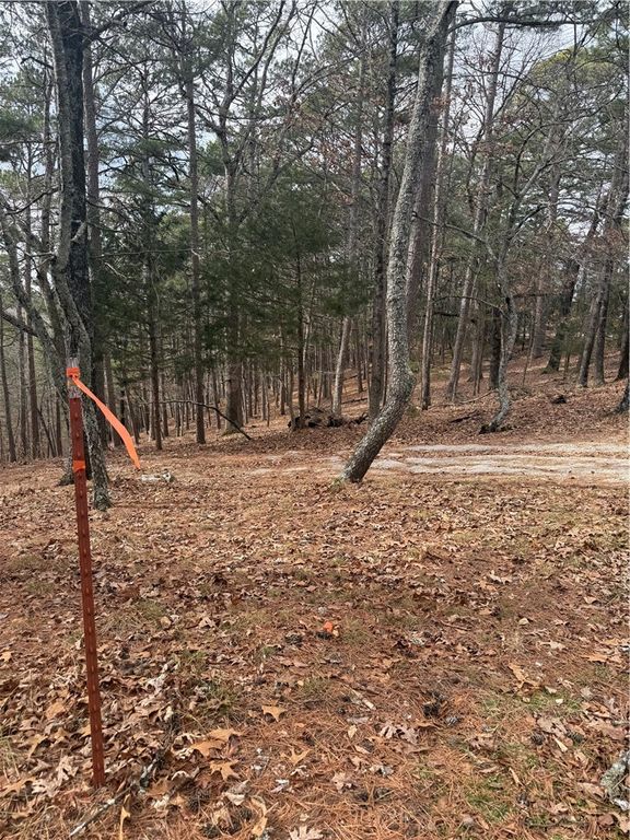 E Mountain Drive, Eureka Springs, AR 72632