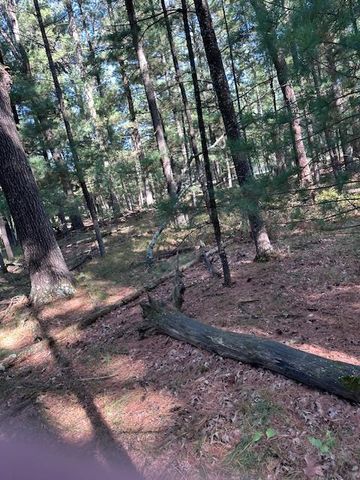 LOT 35 CZECH CT Court, Arkdale, WI 54613