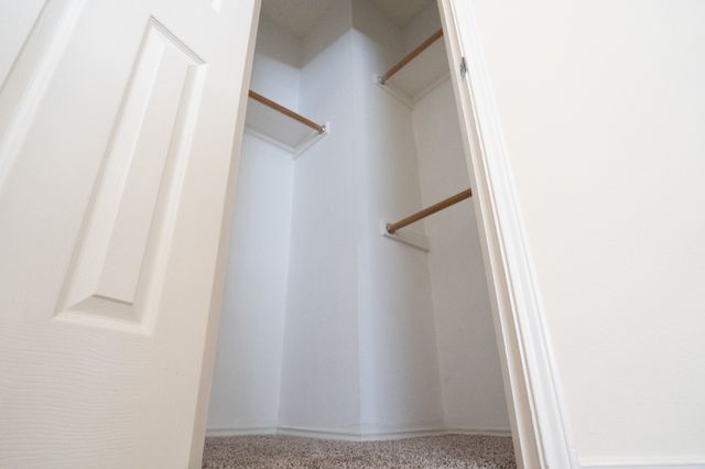 11449 Pagewynne Drive, Frisco, TX 75035