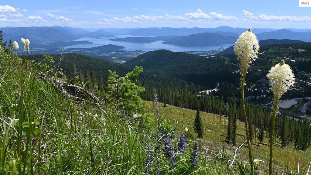 135 Chutes Lane, Sandpoint, ID 83864 photo 50