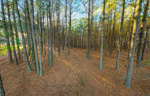 3540 Crockett Point Jf 308, Jasper, TN 37347
