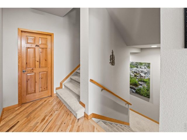 2690 Fox Acres Dr E, Red Feather Lakes, CO 80545