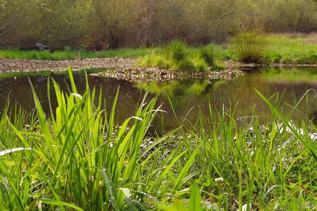 755 Watertrough Rd, Sebastopol, CA 95472