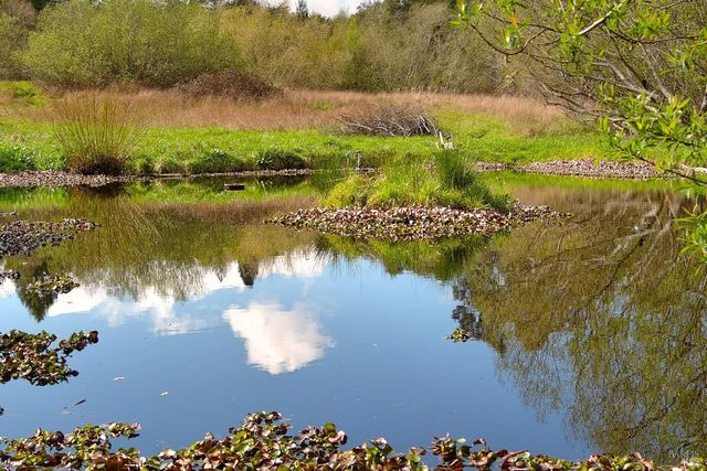 755 Watertrough Rd, Sebastopol, CA 95472