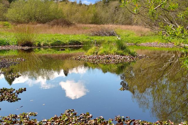 755 Watertrough Rd, Sebastopol, CA 95472