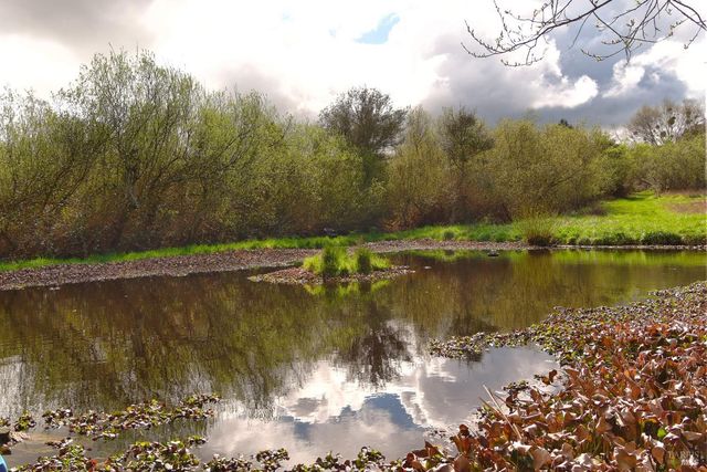 755 Watertrough Rd, Sebastopol, CA 95472