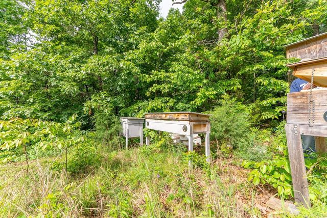 492 Timber Ridge Road, Mammoth Spring, AR 72554