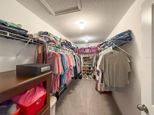 21324 SOUTHERN CHARM DRIVE, Land O Lakes, FL 34637