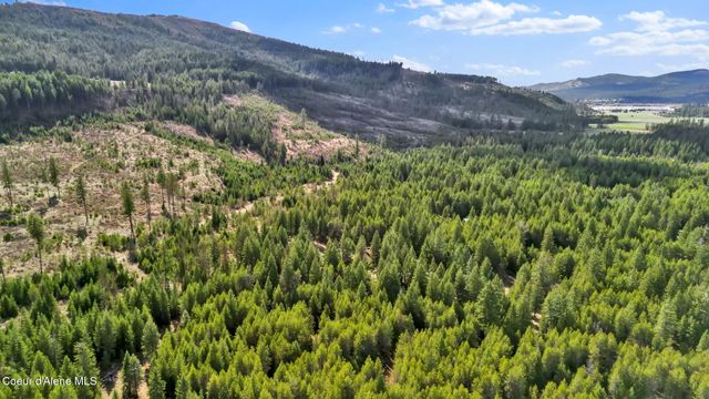 181 E Deer Meadow LN, Blanchard, ID 83804