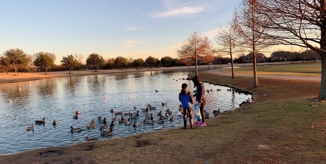 907 Ozark Drive, Allen, TX 75002