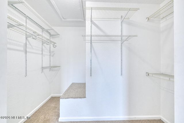791 ASSISI Lane 1611, Jacksonville, FL 32233