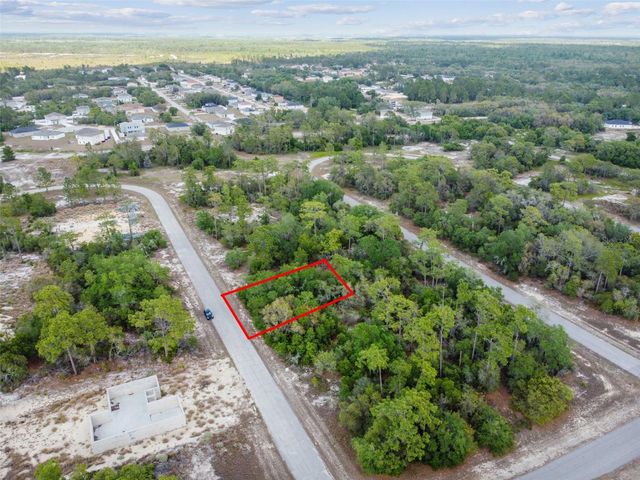 1305 HOMOSASSA COURT, Kissimmee, FL 34759