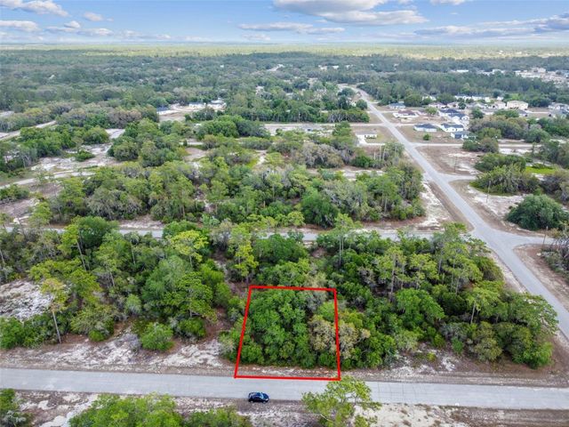 1305 HOMOSASSA COURT, Kissimmee, FL 34759