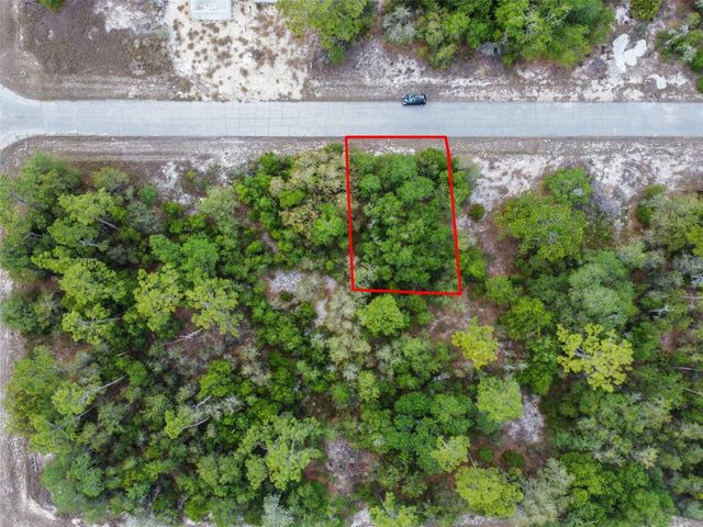 1305 HOMOSASSA COURT, Kissimmee, FL 34759