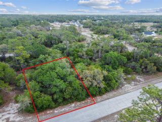 1305 HOMOSASSA COURT, Kissimmee, FL 34759