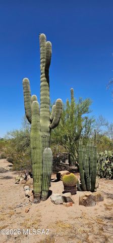 4441 N Sanders Road, Tucson, AZ 85743