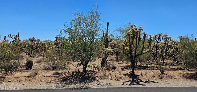 4441 N Sanders Road, Tucson, AZ 85743