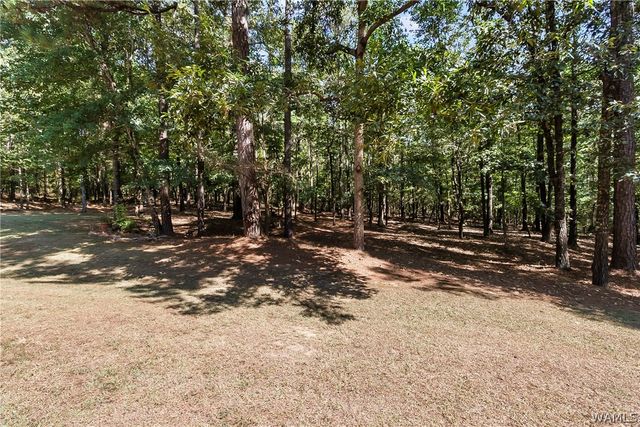 10765 THOMAS, Tuscaloosa, AL 35405