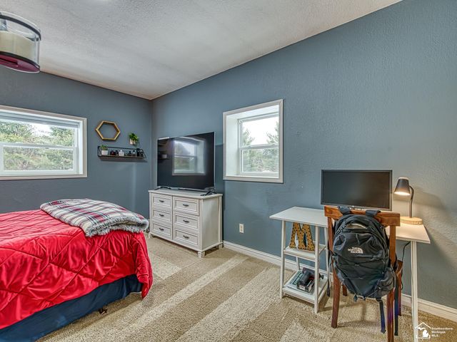 6901 Summerfield Road, Petersburg, MI 49270