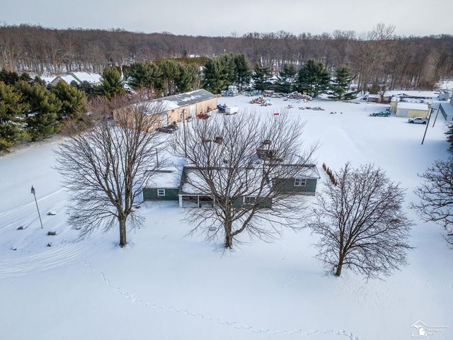 6901 Summerfield Road, Petersburg, MI 49270