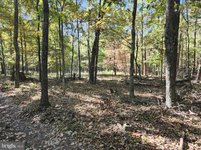 MILL MOUNTAIN ROAD, Romney, WV 26757