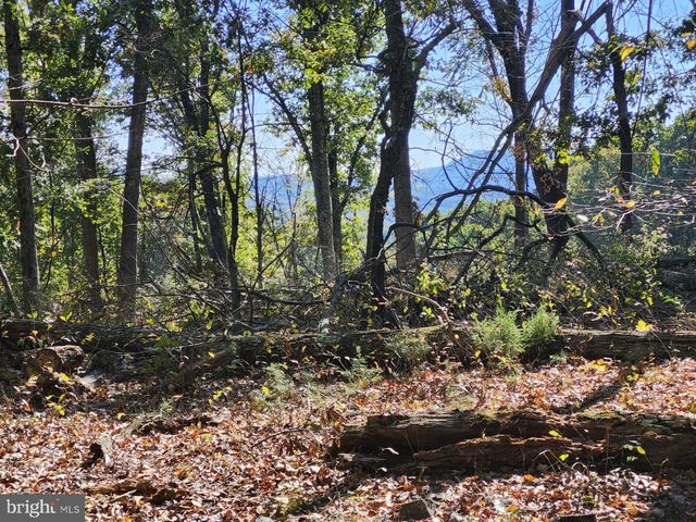 MILL MOUNTAIN ROAD, Romney, WV 26757