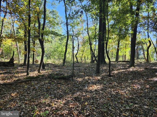 MILL MOUNTAIN ROAD, Romney, WV 26757