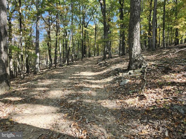 MILL MOUNTAIN ROAD, Romney, WV 26757