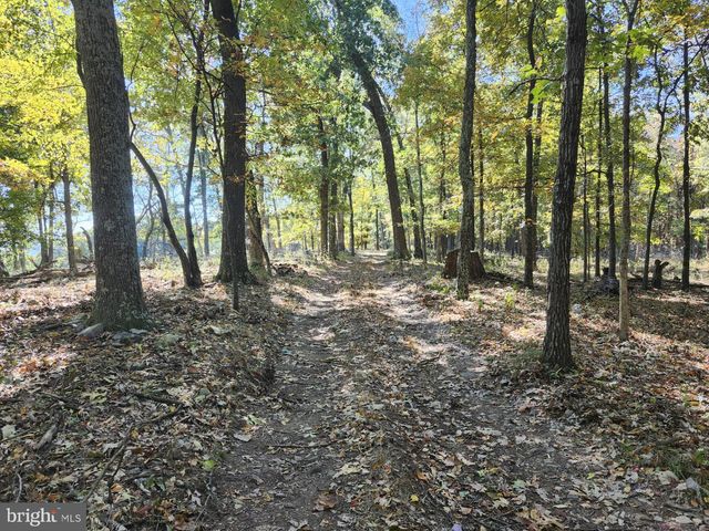 MILL MOUNTAIN ROAD, Romney, WV 26757