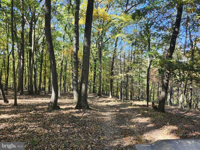 MILL MOUNTAIN ROAD, Romney, WV 26757